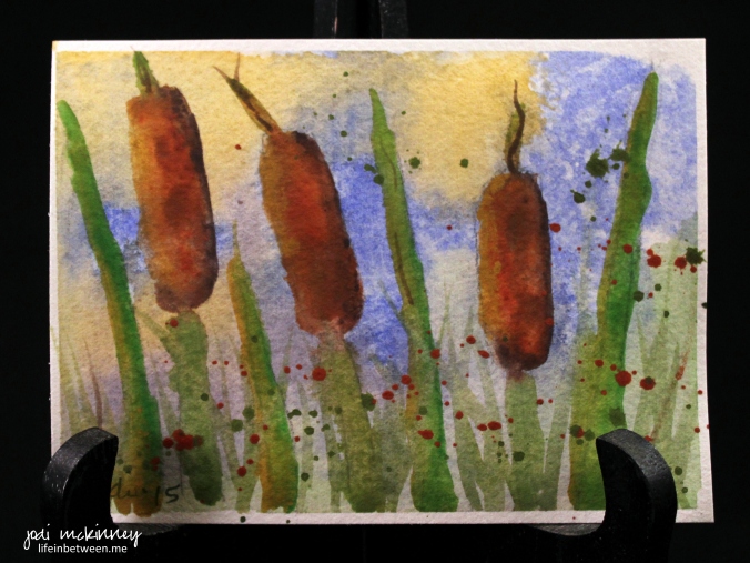 watercolor cat tails