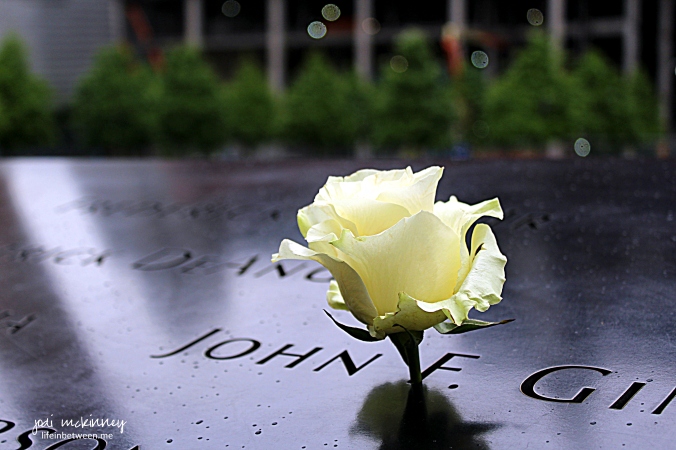 911 Memorial Rose