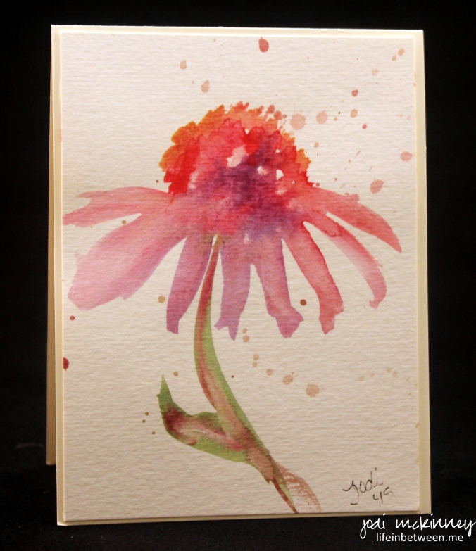 coneflower watercolor 1