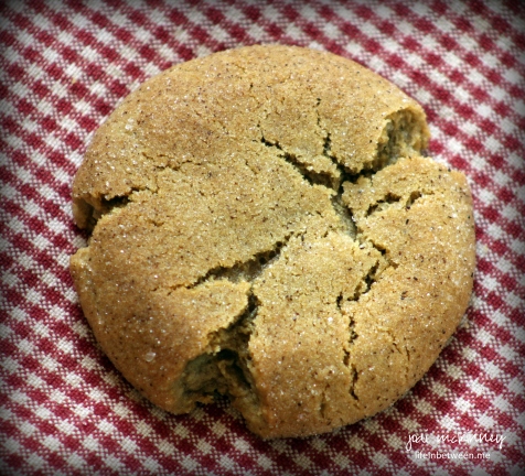 gingersnap cookie