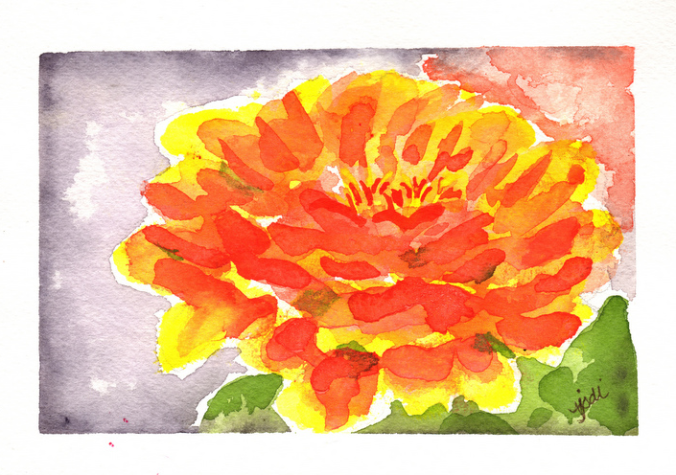 orange and yellow zinnia 5x7 watercolor 140# Arches Cold Press