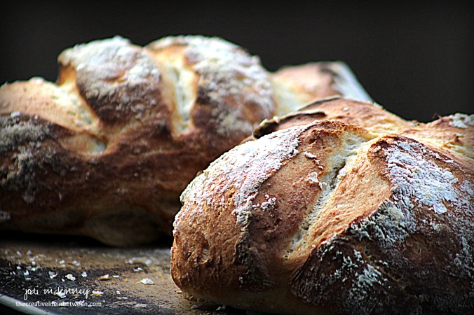 bread-5-minute-rustic-artisan-bread